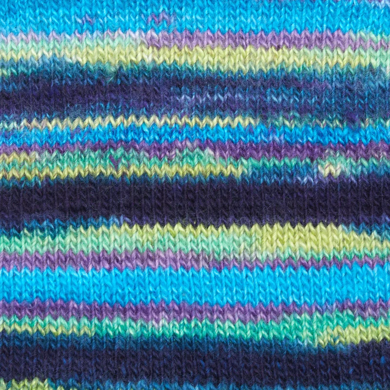 Premier Spun Colors 1110-16 Lakeside Acrylic and Superwash Merino from Premier Yarns